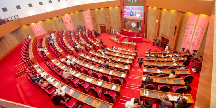 Senators during the emergency plenary session where the State Police constitutional amendment bill was passed.