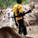 Herdsmen and their cows