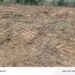 Amalokpa Development Association seeks NSCDC intervention over alleged illegal mining in Ebonyi