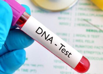 Smart DNA paternity testing report in Nigeria