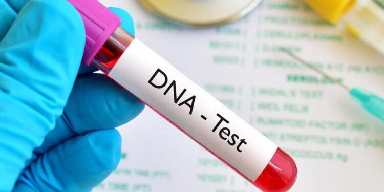 Smart DNA paternity testing report in Nigeria