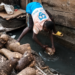 Man pulling mud-covered yams from a Lagos gutter