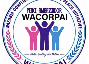 WACORPAI 12 Best Performing Governors, Senators and Speakers 2026