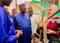 Jigawa Egypt agricultural partnership for date palm and potato production