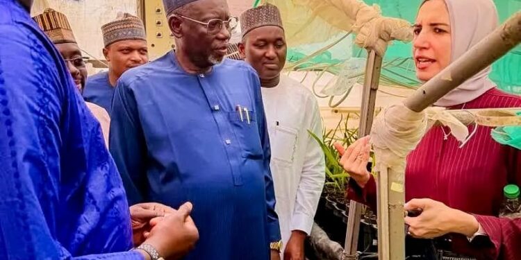 Jigawa Egypt agricultural partnership for date palm and potato production
