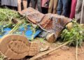 Security concerns in Plateau State after reported attacks in Barkin-Ladi and Riyom