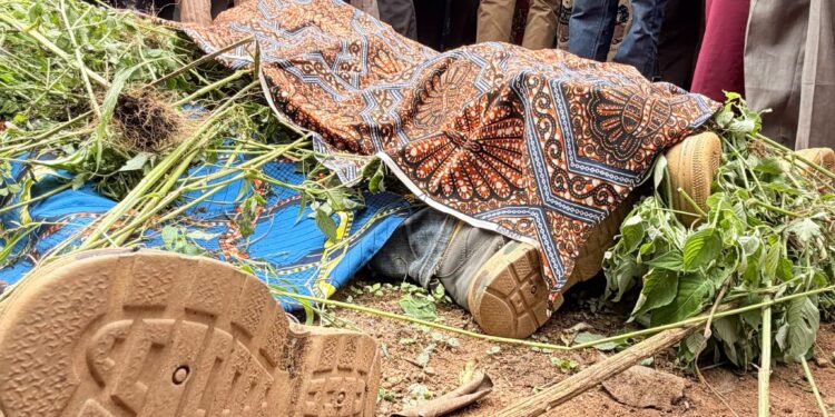 Security concerns in Plateau State after reported attacks in Barkin-Ladi and Riyom