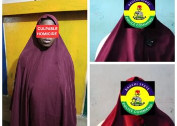 Bauchi housewife Hauwau Haruna accused of killing co-wife with pestle