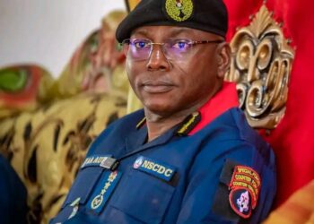 NAGN Lauds Sagacity of NSCDC CG, Prof. Abubakar Ahmed Audi