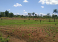 R of O C of O and AGIS land search for buying land in Abuja