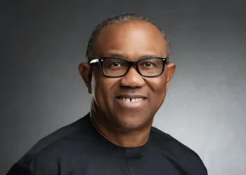 Peter Obi faces fresh legal scrutiny over academic records