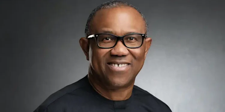 Peter Obi faces fresh legal scrutiny over academic records