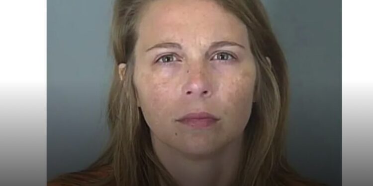 Taylor Gosnell, South Carolina mother accused of attacking two children