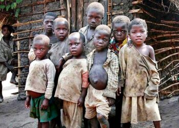 IMF Nigeria cash transfers
